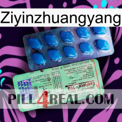 Ziyinzhuangyang new02